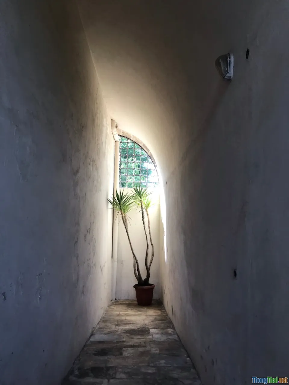 Làm sao chọn hướng nhà phù hợp tuổi theo phong thủy nhà cửa hiện đại