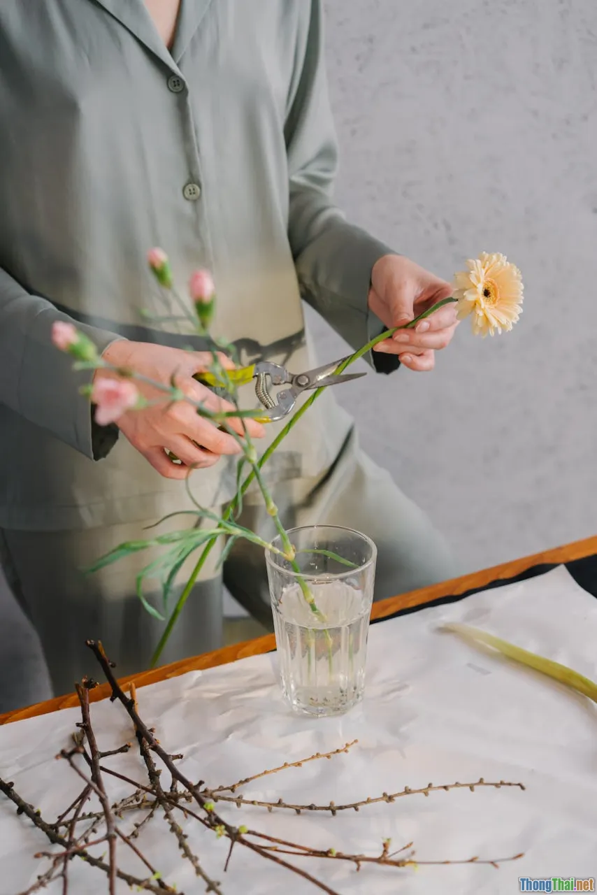 Yoga Nidra có thực sự chữa lành sức khỏe tinh thần