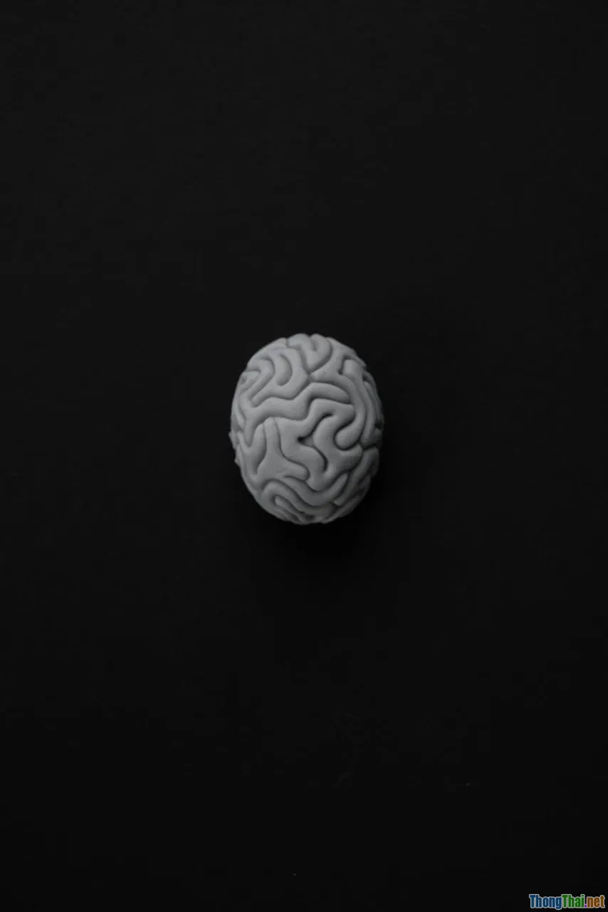 Làm thế nào phim khám phá mở rộng vốn sống và suy nghĩ của bạn