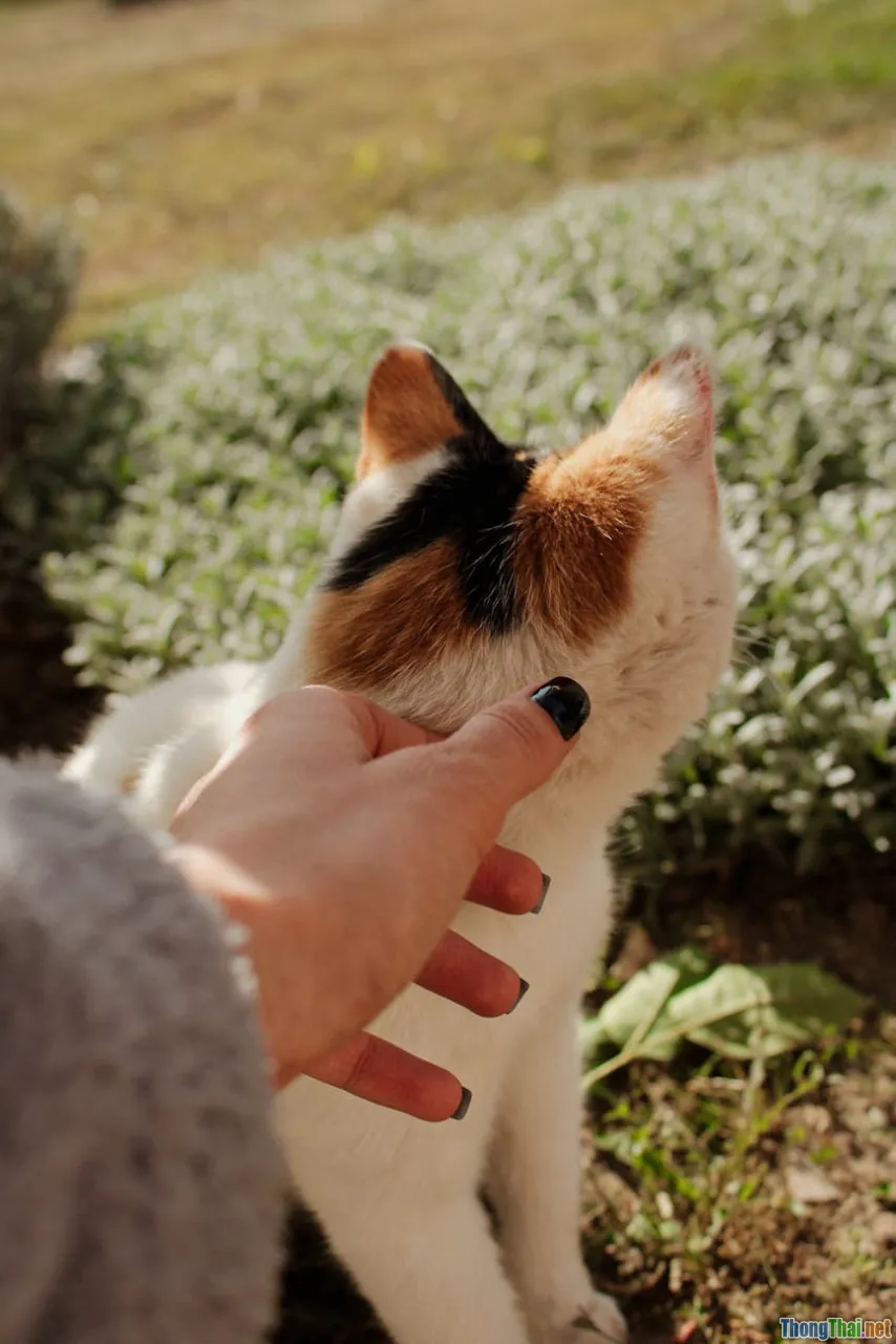 Mẹo giữ sơn móng tay lâu trôi cả tuần