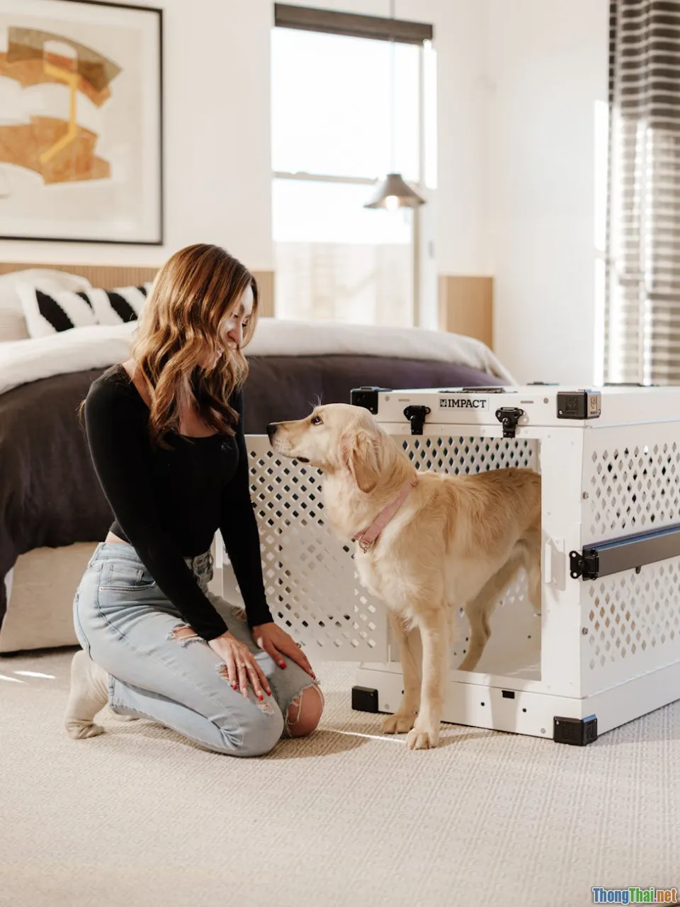 Những hiểu lầm phổ biến về tình bạn giữa người và động vật