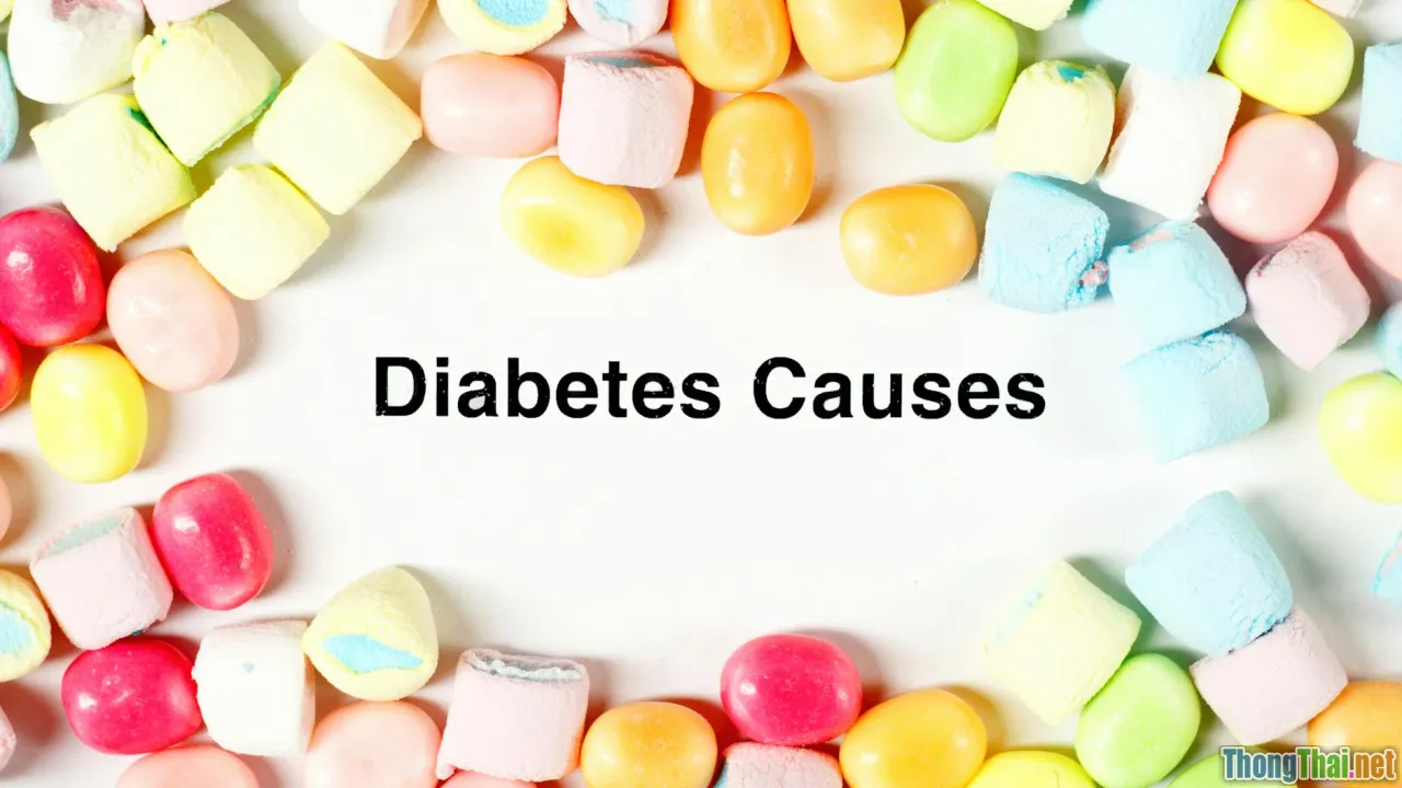 Phân tích nguyên nhân gây bệnh ở mèo