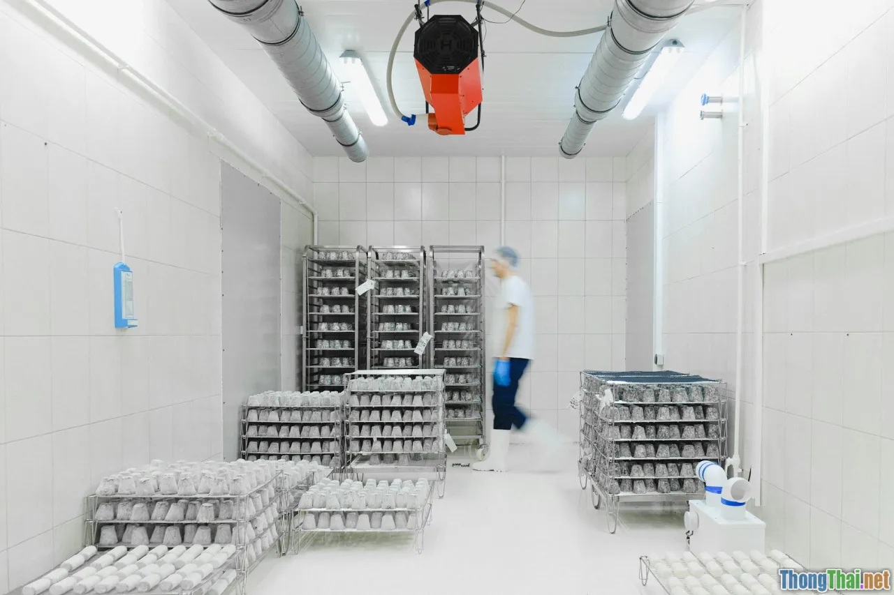 Phân tích tác động của blockchain trong logistics lạnh thực phẩm tươi sống