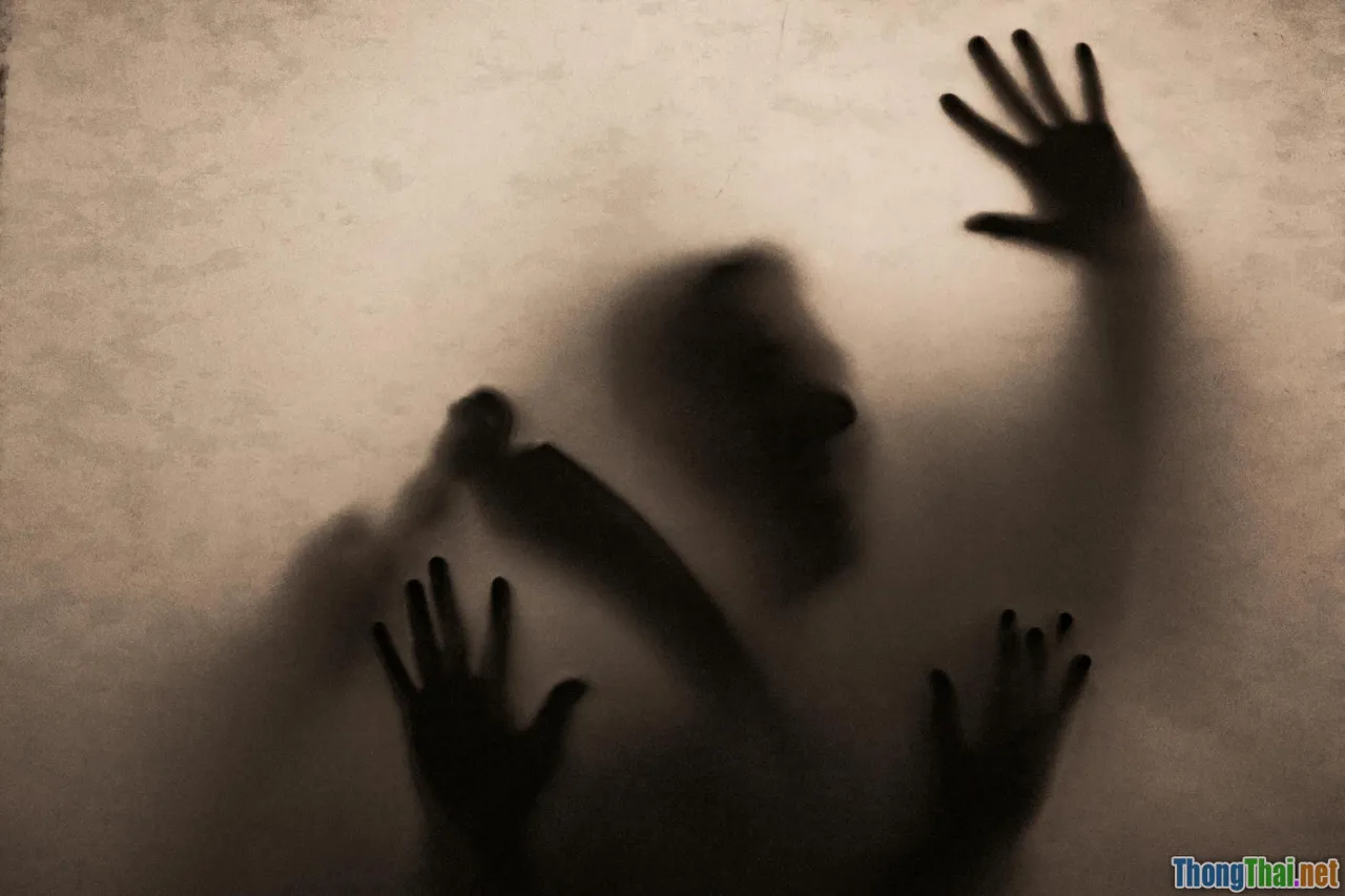 Cách thưởng thức phim rùng rợn không bị ám ảnh