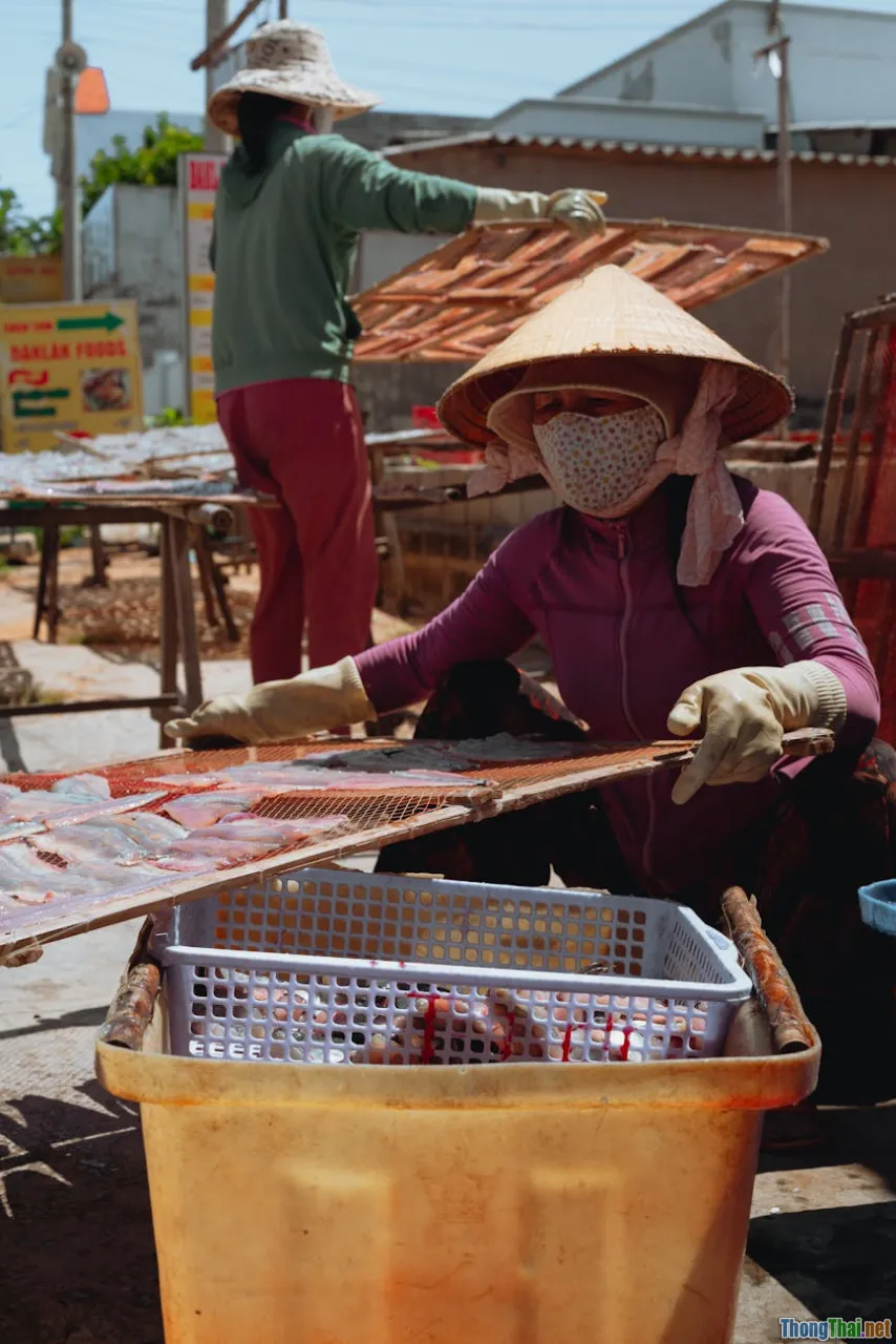 Phim tài liệu về cuộc sống: Những điều chưa biết