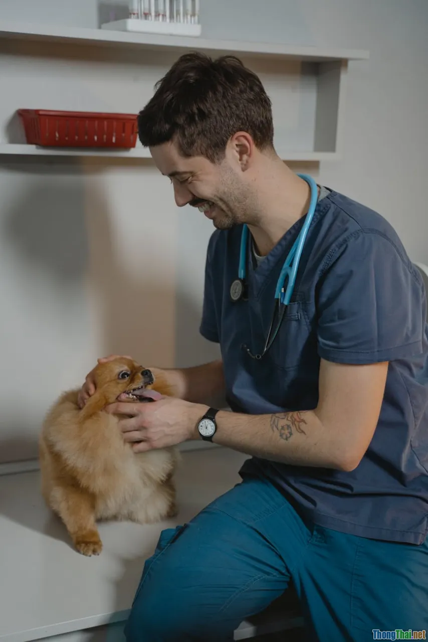 Phương pháp chăm sóc thú cưng hiệu quả