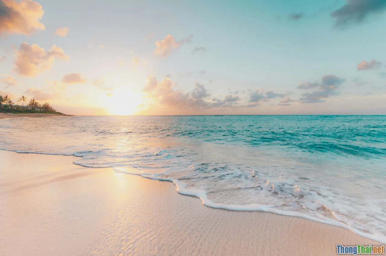 Rác thải nhựa tác động thế nào tới loài rùa biển Việt Nam