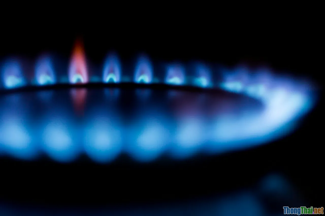 Review top 7 dụng cụ nhà bếp giúp tiết kiệm sức lực cho người nội trợ