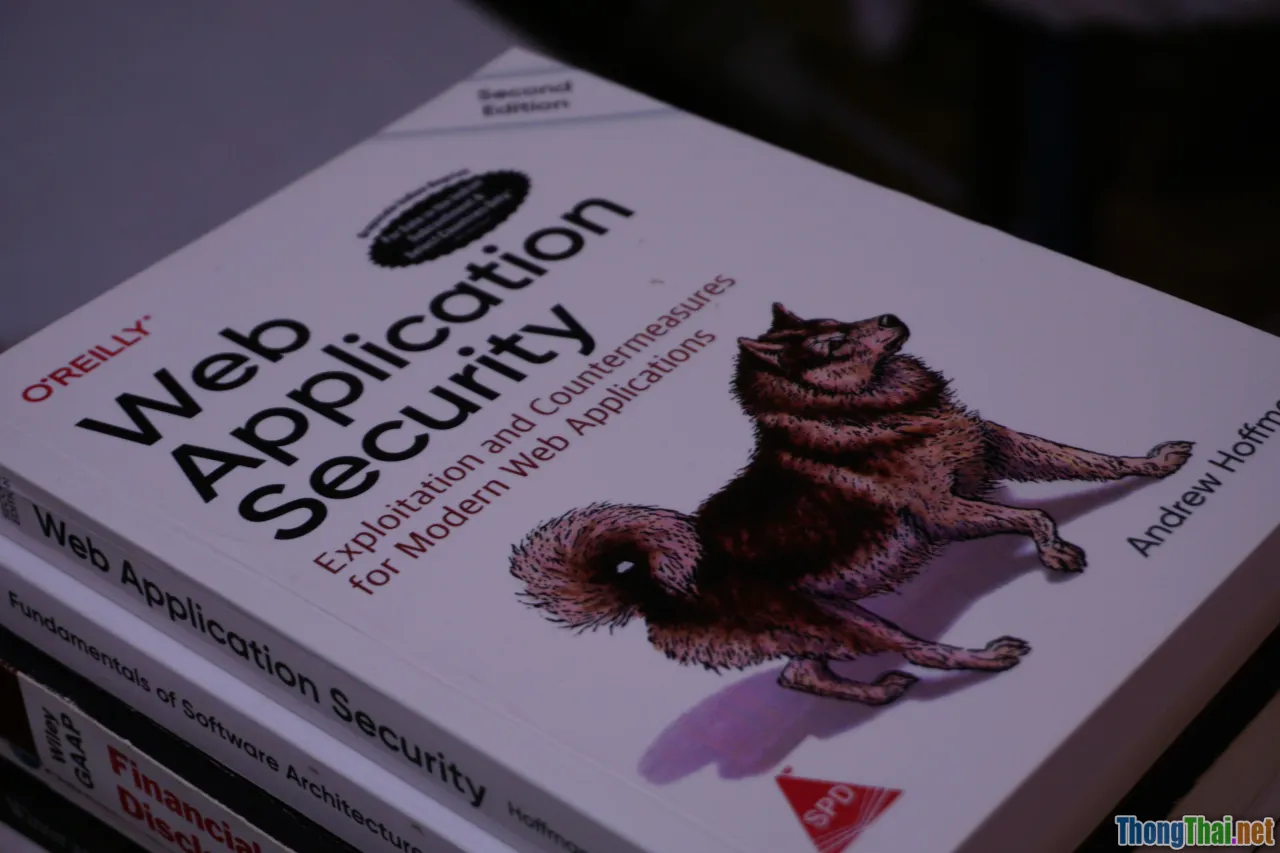 Review top công cụ phát hiện XSS developer nên biết