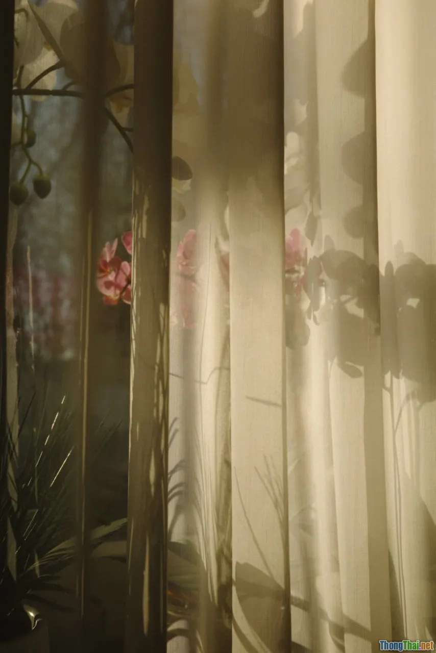 So Sánh Các Loại Rèm Cho Cửa Sổ Hướng Tây