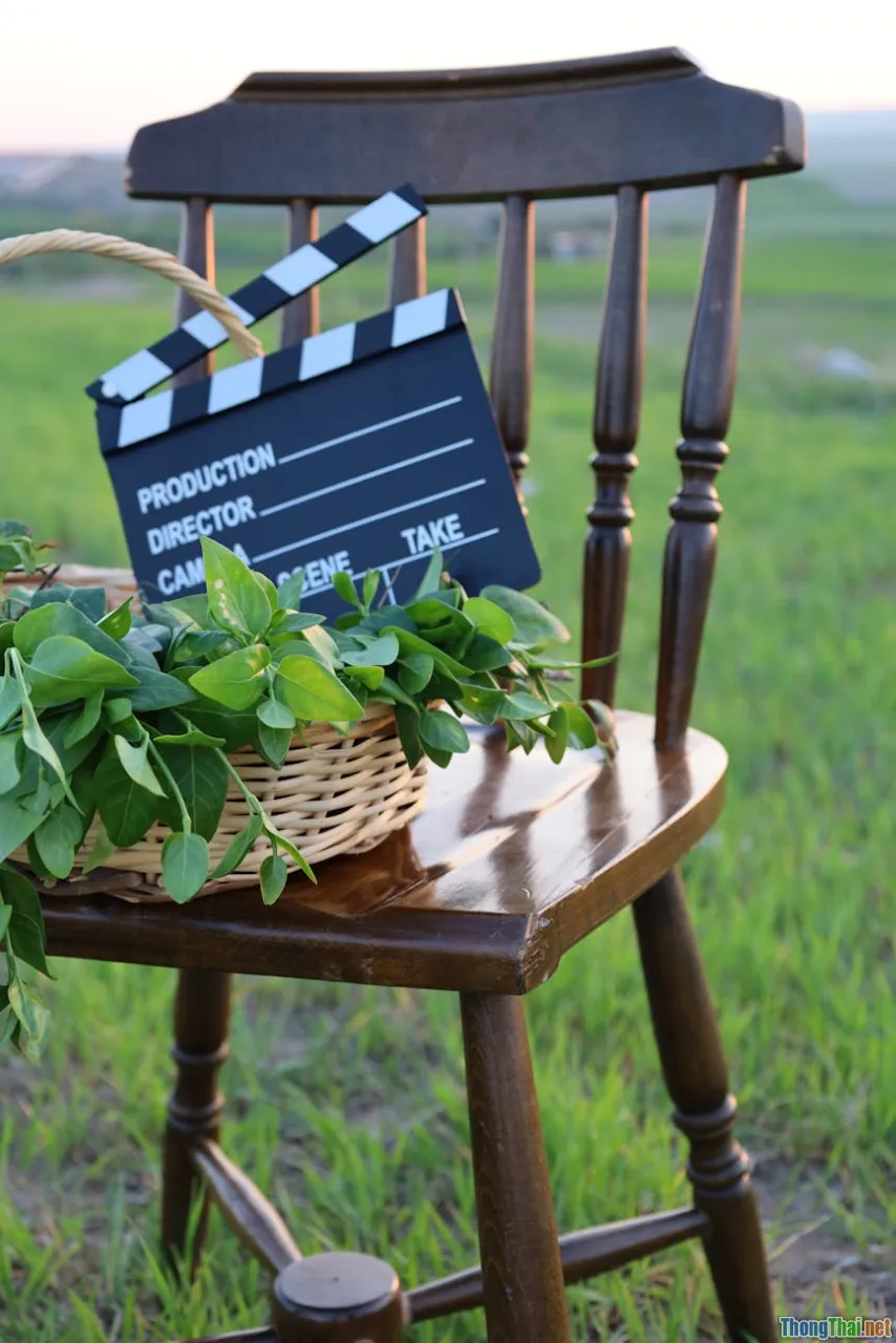 So sánh phim tài liệu quốc tế và phim tài liệu Việt Nam có gì khác biệt