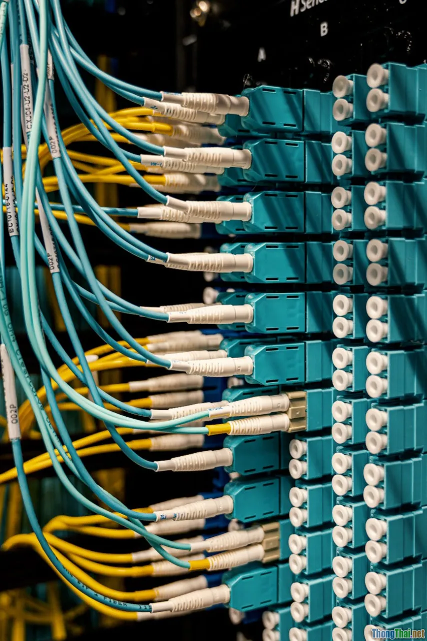 So sánh tốc độ truyền dữ liệu giữa JSON và XML Ai chiến thắng