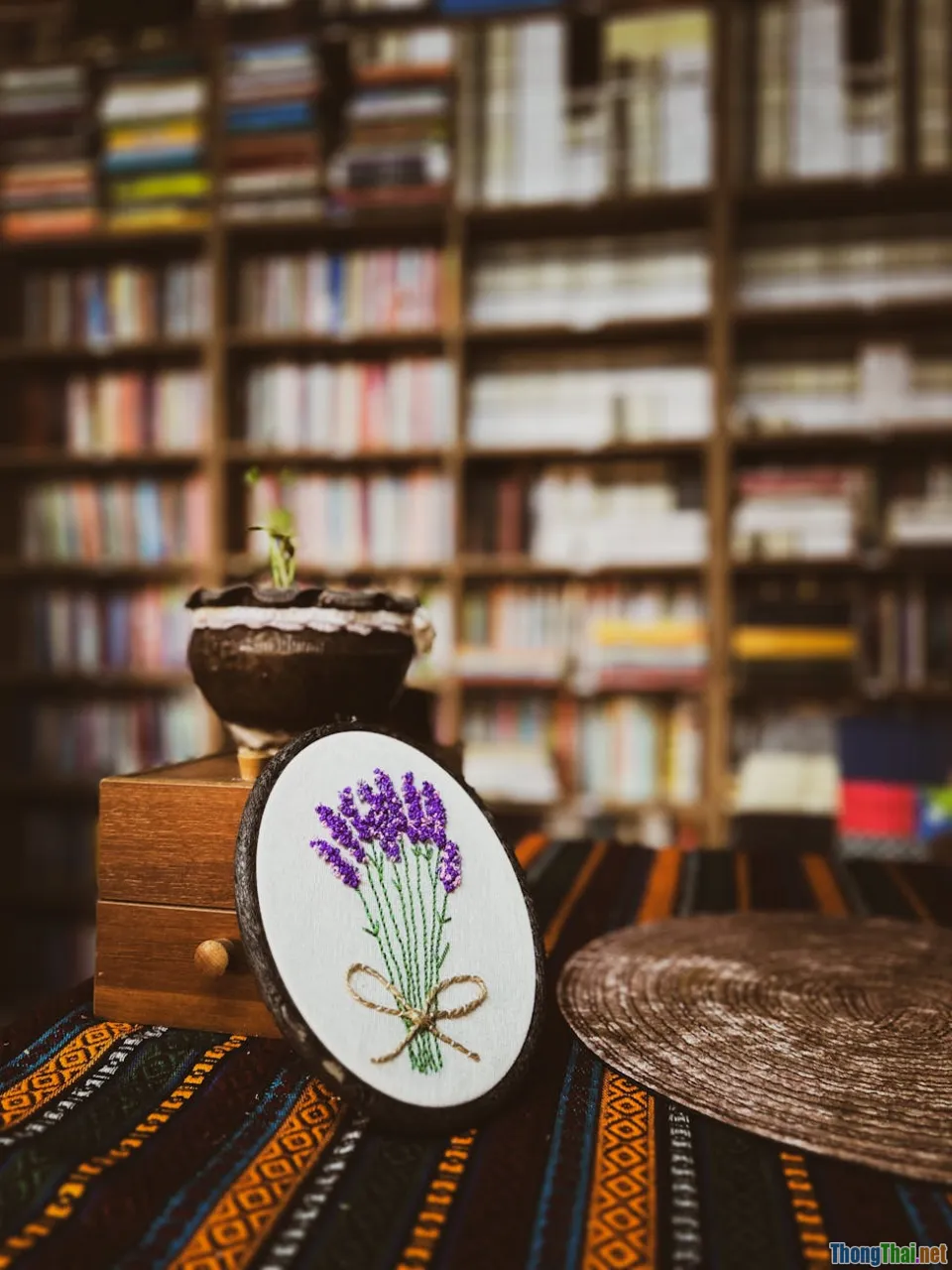 Sự khác biệt giữa kệ sách mini DIY và mua sẵn qua trải nghiệm thực tế