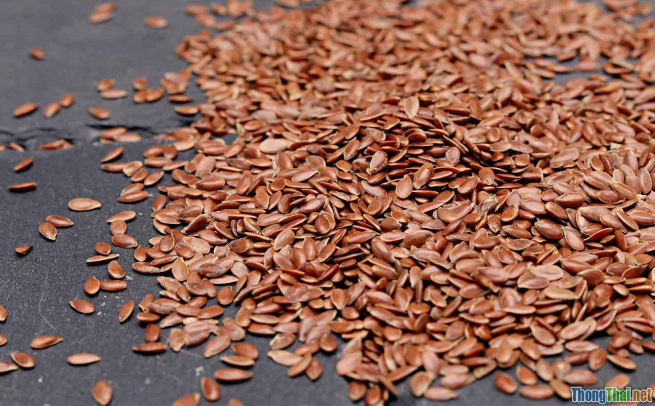 Thỏ ăn gì để có lông mượt Sổ tay dinh dưỡng từ chuyên gia