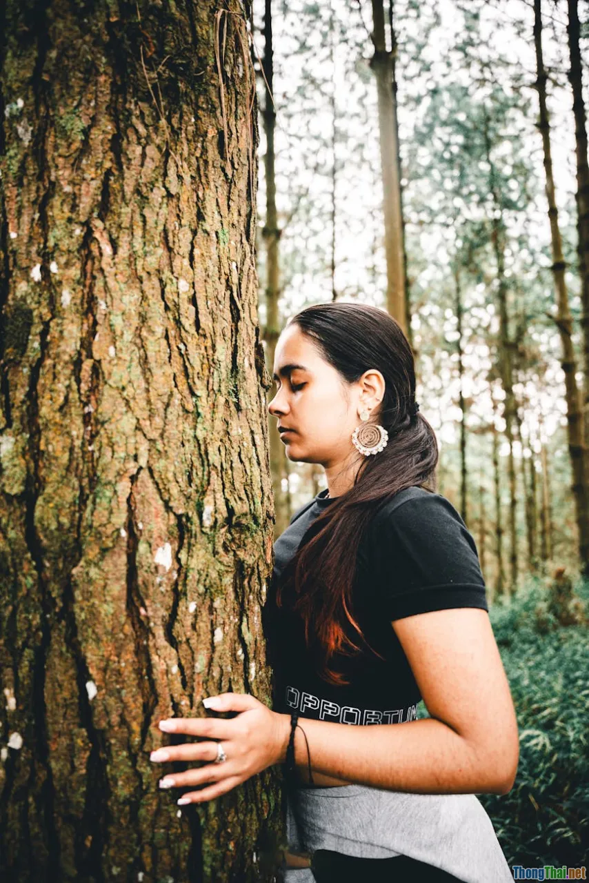 Tìm hiểu về thiền và lợi ích cho sức khỏe