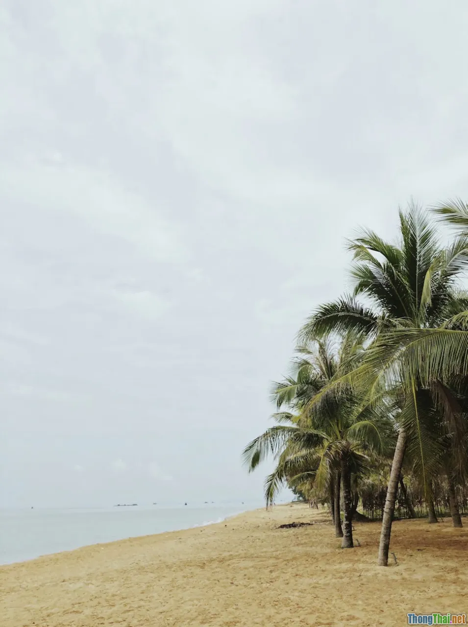 Top 5 bãi biển đẹp nhất Việt Nam