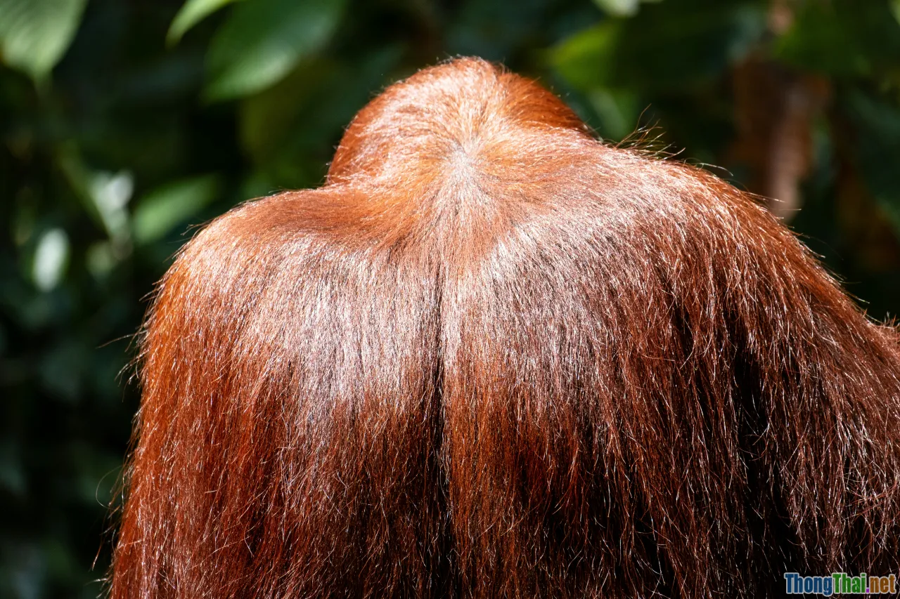 Top 5 loại hạt thúc đẩy mọc tóc mạnh mẽ