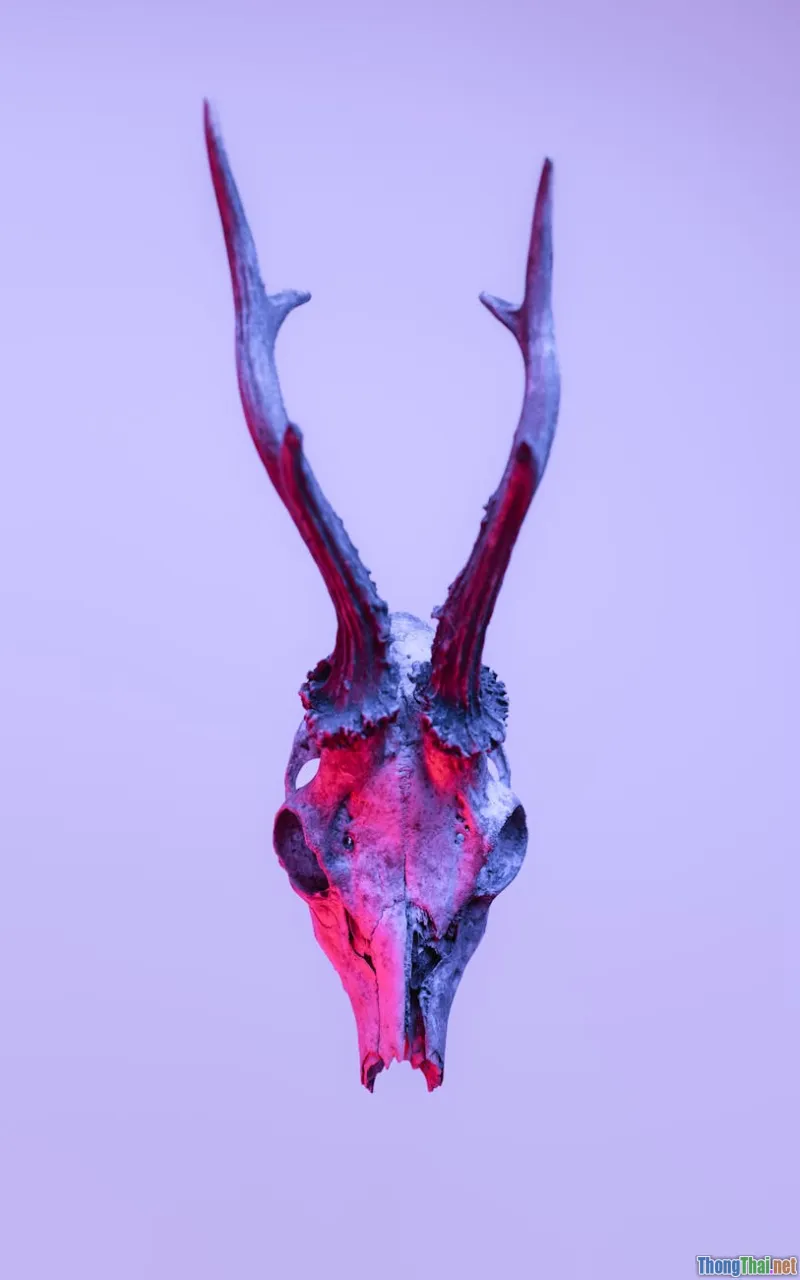 Top truyền thuyết huyền bí chưa lý giải trên thế giới