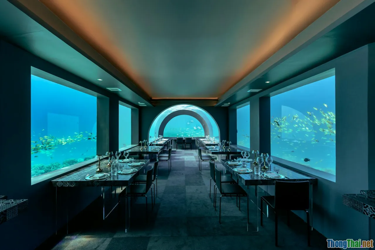 Trải Nghiệm Nghỉ Dưỡng Sang Chảnh Tại Việt Nam