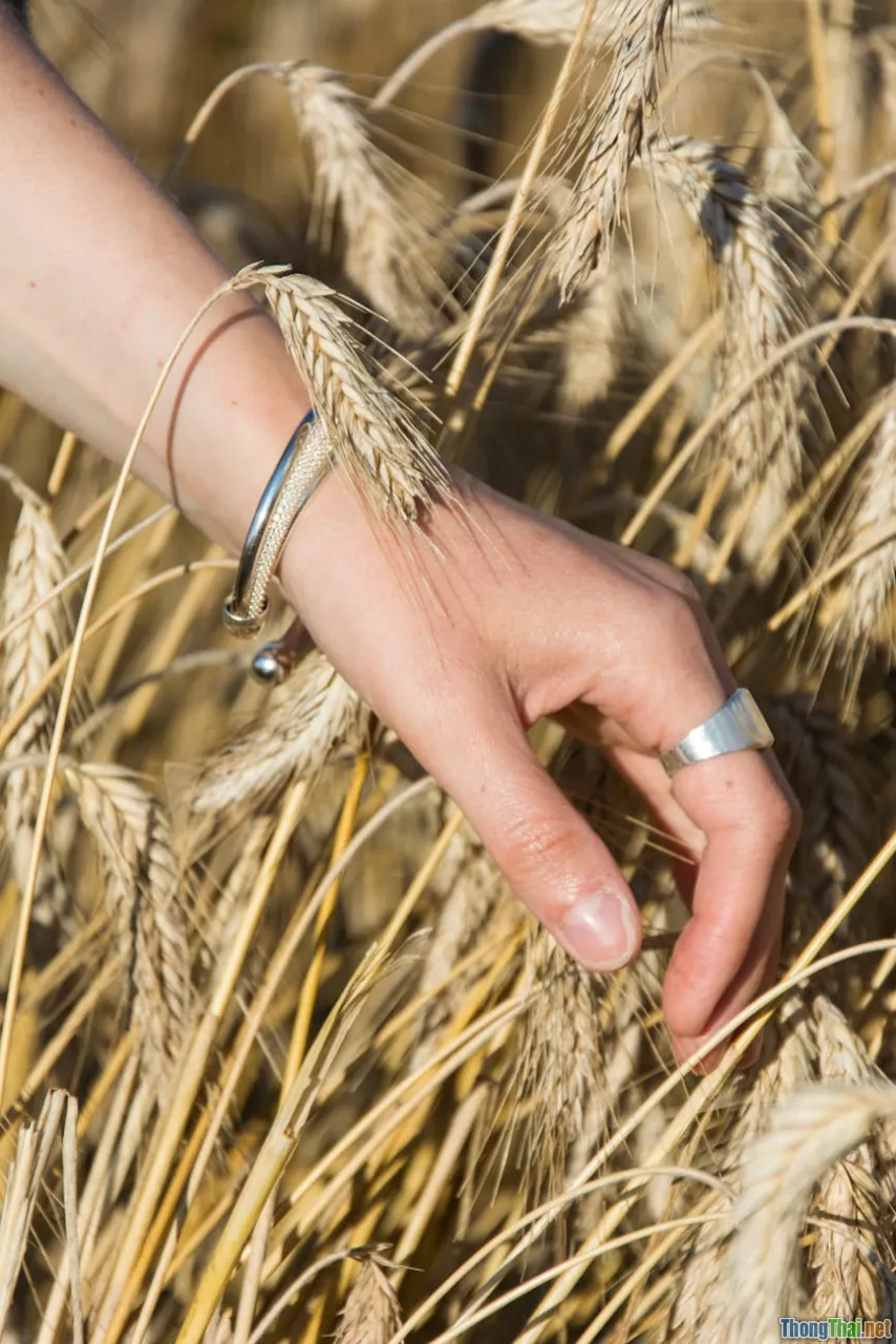 Trang sức bạc có thực sự phù hợp với làn da nhạy cảm phân tích chi tiết