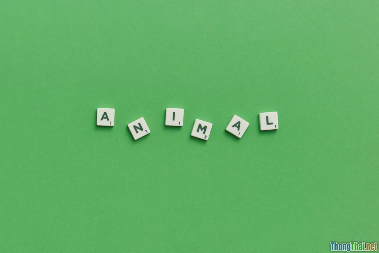 Từ vựng tiếng Anh chủ đề học tập Xu hướng mới cho Gen Z năm 2024