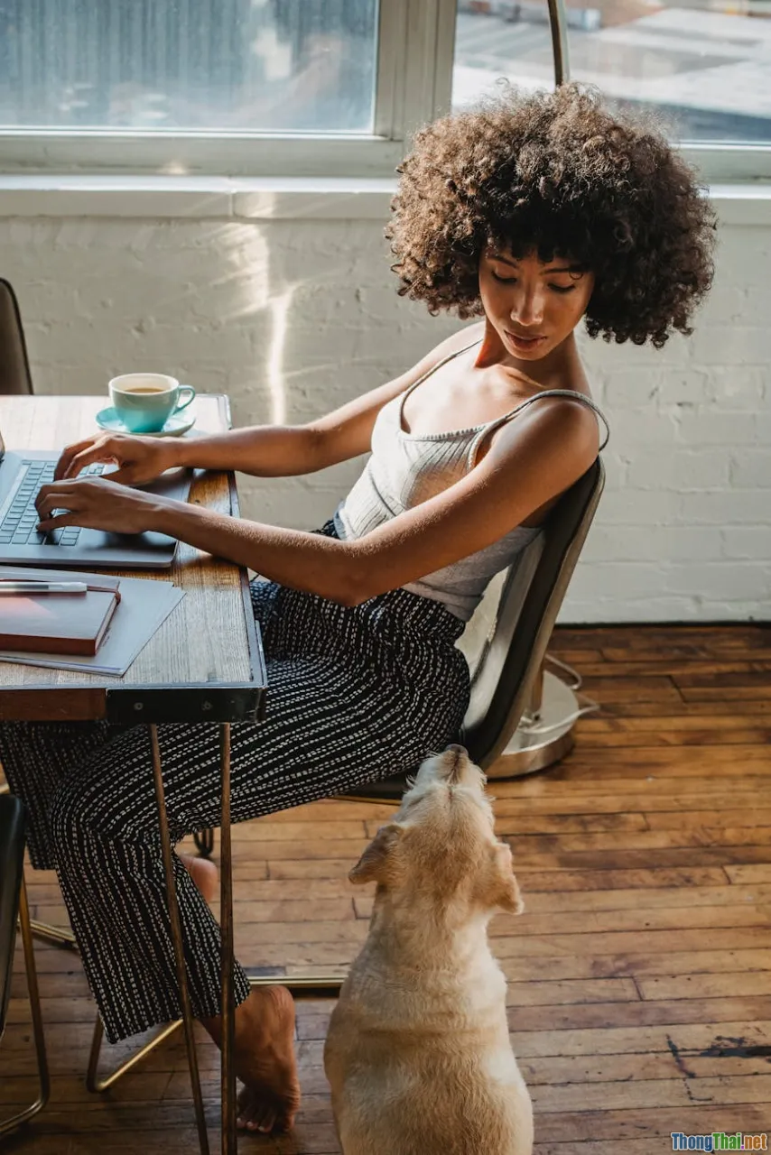 Tương lai của thú cưng khi mọi thiết bị đều có thể kết nối internet