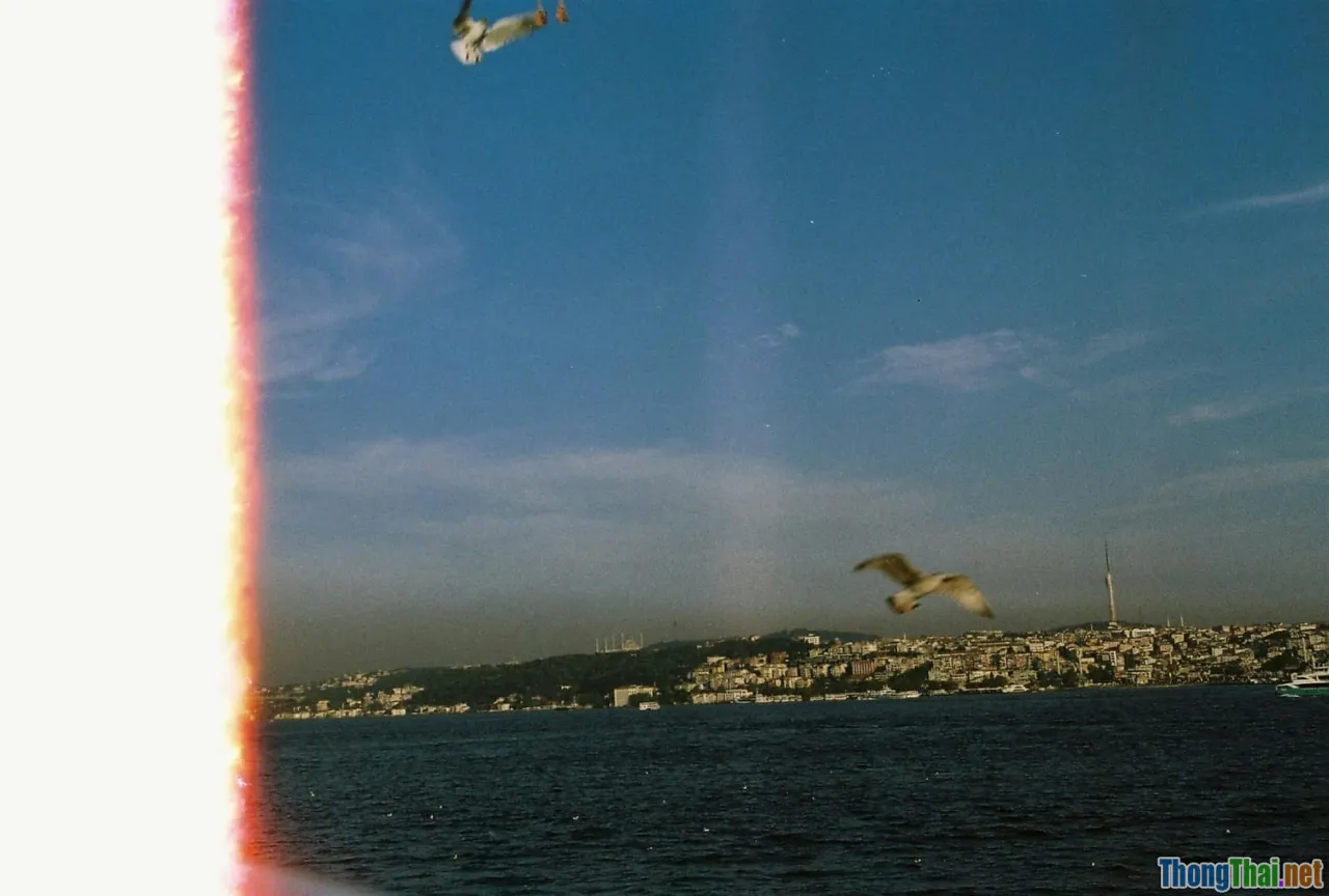 Xu hướng phim hài trong giáo dục hiện đại