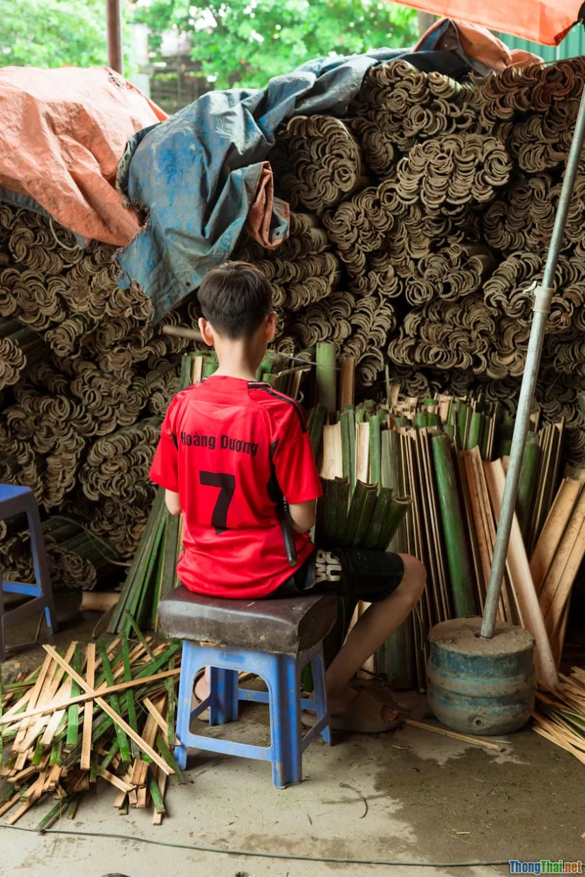 Xu hướng xây nhà thân thiện môi trường cho thú cưng liệu có khả thi ở Việt Nam