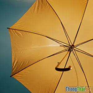 Cảnh báo ba sai lầm khi tự bảo vệ tài sản