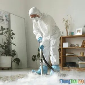 Phân tích tác động của lười dọn dẹp tới sức khỏe