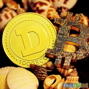 Top 5 đồng tiền mã hóa tiềm năng cuối năm nay