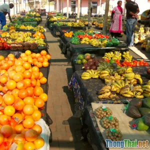 Cách săn đặc sản Đà Lạt tươi ngon giá chuẩn