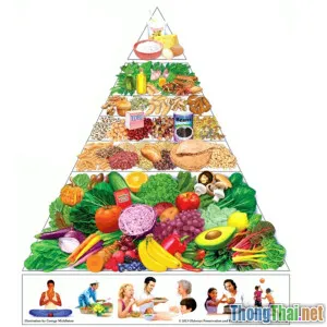 So sánh chế độ dinh dưỡng gia đình từ các nước phát triển