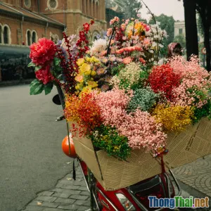 Hướng dẫn check in sống động tại lễ hội hoa ban Điện Biên