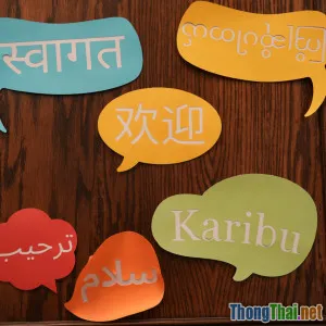 So sánh hiệu quả Flashcards và học trên app