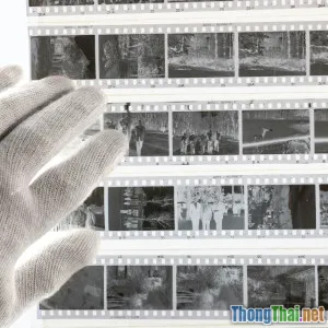 Những sai lầm thường gặp khi xem phim tư liệu lịch sử