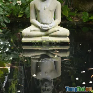 Thiền Mindfulness Hay Thiền Sâu Phù Hợp Cho Bạn