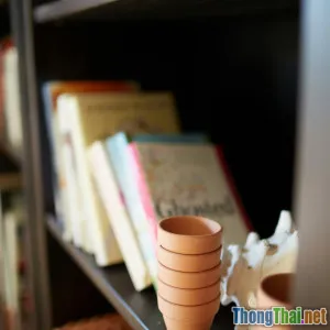 Tự làm kệ sách mini bằng que kem siêu bền