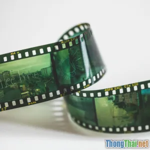 Phim sự thật hay tiểu thuyết hóa Hãy thử phân biệt