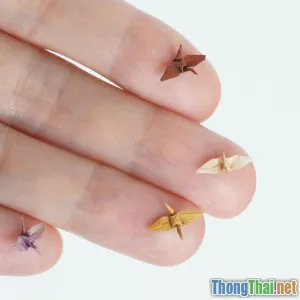 Xu hướng móng ombre Hàn Quốc 2024 Tại sao giới trẻ phát cuồng