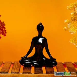 Top Sách Thiền Định Hữu Ích Ai Cũng Nên Đọc