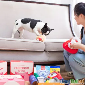 Tổng hợp thiết bị giải trí hiện đại cho thú cưng Việt