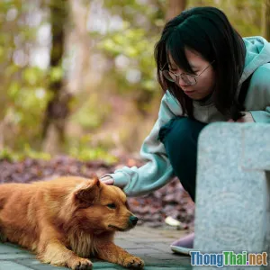 Sự kỳ diệu của động vật giúp con người chữa lành