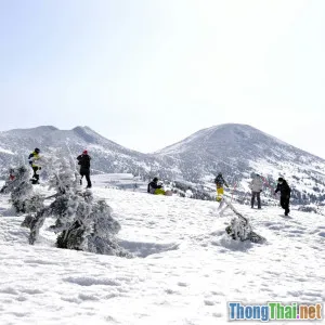 Bí kíp săn tuyết Sapa mùa đông cho người mới