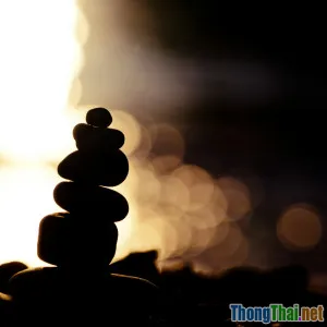 Tâm lý học xã hội liệu có giúp ta đạt thành công