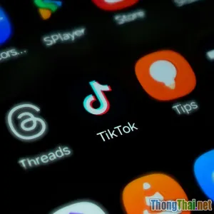 Chạy Auto Tương Tác Tiktok Hiệu Quả Ra Sao