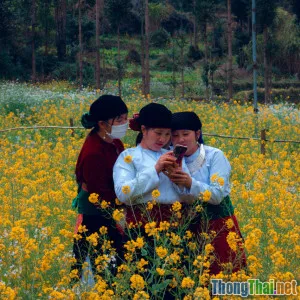 Phim về sự kiện lịch sử Việt Nam bạn không nên bỏ lỡ