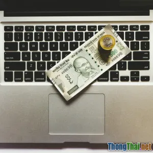 Tại sao niche theme WordPress lại hái ra tiền năm nay