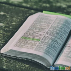 Đọc Kinh Thánh mỗi ngày có gì đổi khác