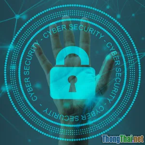 Burp Suite có thực sự cần cho mỗi pentester